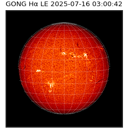gong - 2025-07-16T03:00:42