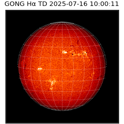 gong - 2025-07-16T10:00:11