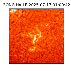 gong - 2025-07-17T01:00:42