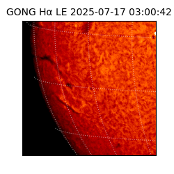 gong - 2025-07-17T03:00:42