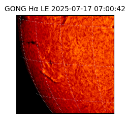 gong - 2025-07-17T07:00:42