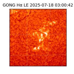 gong - 2025-07-18T03:00:42