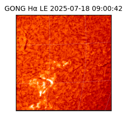 gong - 2025-07-18T09:00:42