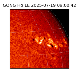 gong - 2025-07-19T09:00:42
