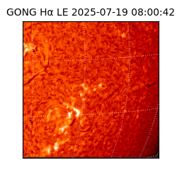 gong - 2025-07-19T08:00:42