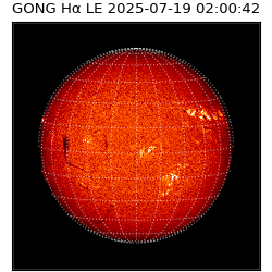 gong - 2025-07-19T02:00:42
