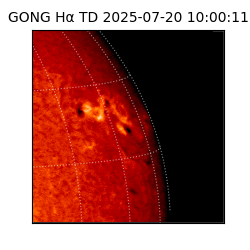 gong - 2025-07-20T10:00:11