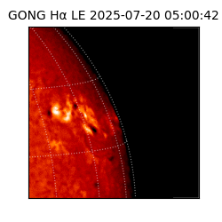 gong - 2025-07-20T05:00:42