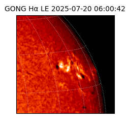 gong - 2025-07-20T06:00:42