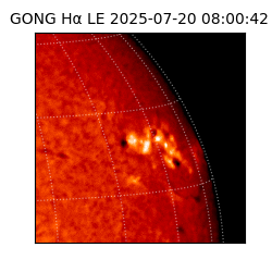 gong - 2025-07-20T08:00:42