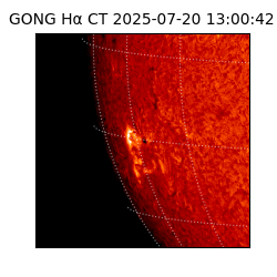 gong - 2025-07-20T13:00:42