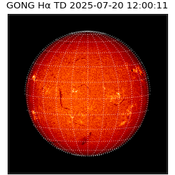 gong - 2025-07-20T12:00:11