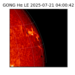 gong - 2025-07-21T04:00:42