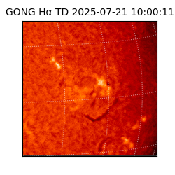gong - 2025-07-21T10:00:11