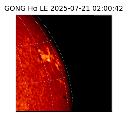 gong - 2025-07-21T02:00:42