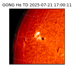 gong - 2025-07-21T17:00:11