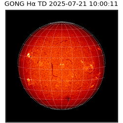 gong - 2025-07-21T10:00:11