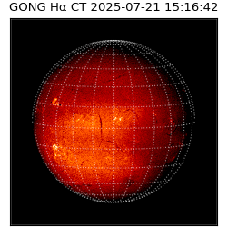 gong - 2025-07-21T15:16:42