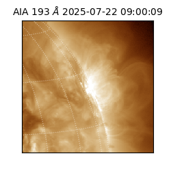 saia - 2025-07-22T09:00:09.488000