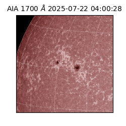 saia - 2025-07-22T04:00:28.718000