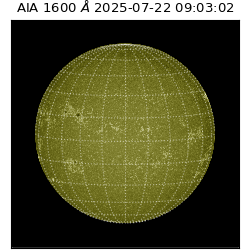 saia - 2025-07-22T09:03:02.118000