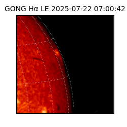 gong - 2025-07-22T07:00:42