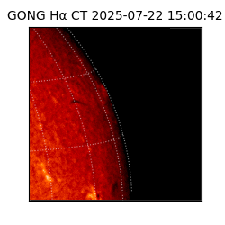 gong - 2025-07-22T15:00:42