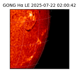 gong - 2025-07-22T02:00:42