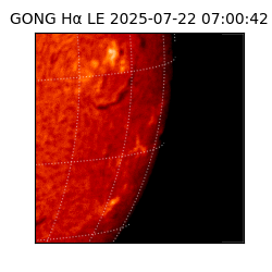 gong - 2025-07-22T07:00:42