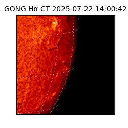 gong - 2025-07-22T14:00:42
