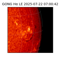 gong - 2025-07-22T07:00:42
