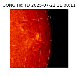gong - 2025-07-22T11:00:11