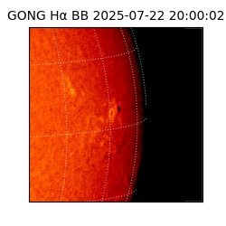 gong - 2025-07-22T20:00:02