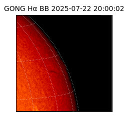 gong - 2025-07-22T20:00:02