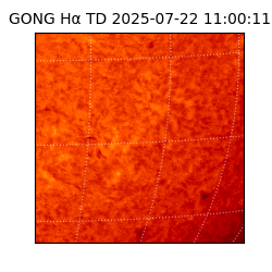 gong - 2025-07-22T11:00:11