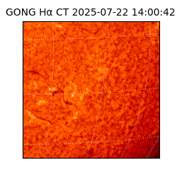 gong - 2025-07-22T14:00:42