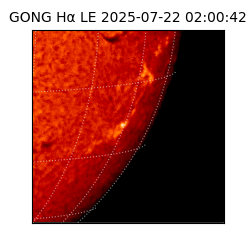 gong - 2025-07-22T02:00:42