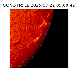 gong - 2025-07-22T05:00:42