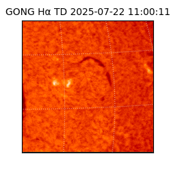gong - 2025-07-22T11:00:11