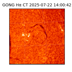 gong - 2025-07-22T14:00:42
