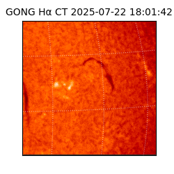 gong - 2025-07-22T18:01:42