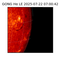 gong - 2025-07-22T07:00:42