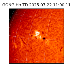 gong - 2025-07-22T11:00:11