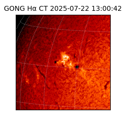 gong - 2025-07-22T13:00:42