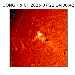 gong - 2025-07-22T14:00:42