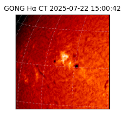 gong - 2025-07-22T15:00:42