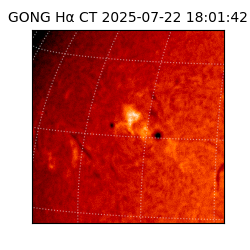 gong - 2025-07-22T18:01:42