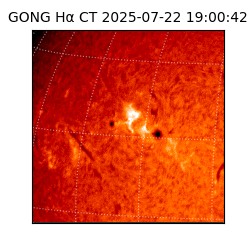 gong - 2025-07-22T19:00:42
