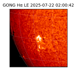 gong - 2025-07-22T02:00:42
