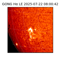 gong - 2025-07-22T08:00:42